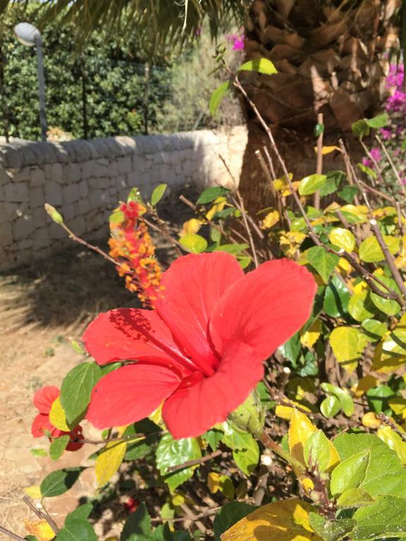 多纳卢卡他Hibiscus Rosso别墅 外观 照片